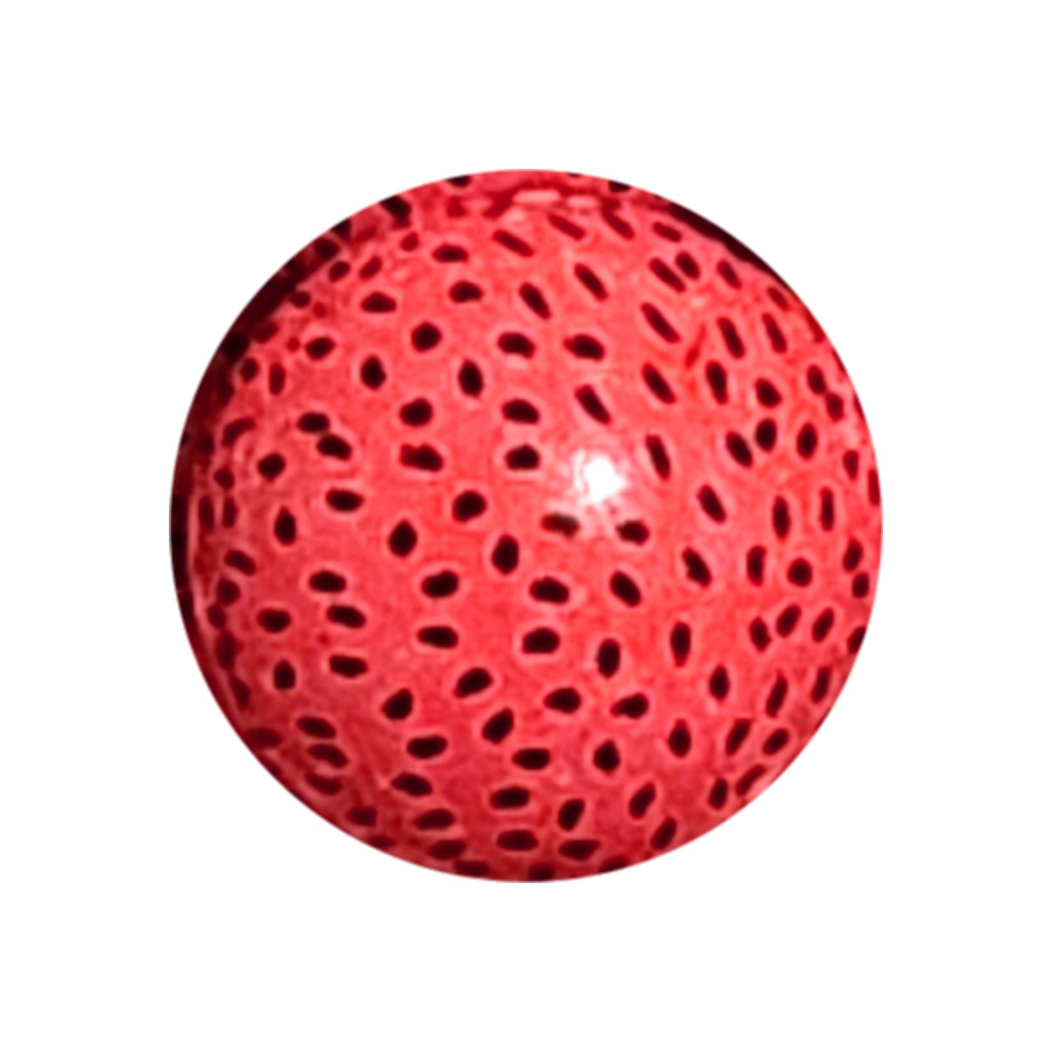 bright pink watermelon seeds 20mm printed bubblegum beads